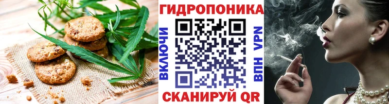 Canna-Cookies конопля  закладка  мега как войти  Гурьевск 