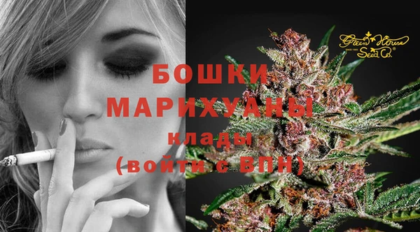 ПСИЛОЦИБИНОВЫЕ ГРИБЫ Верхний Тагил