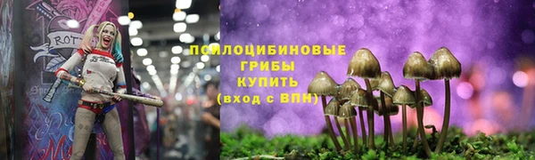 прущая мука Бронницы