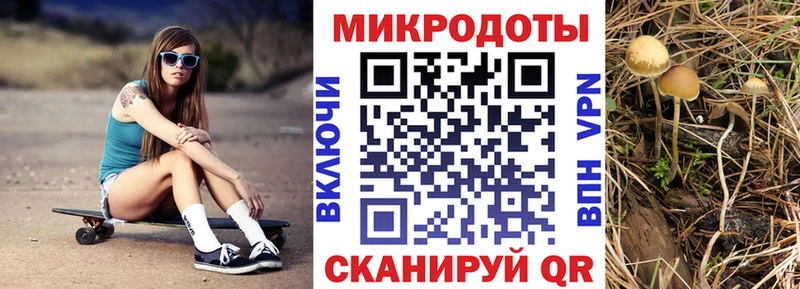 Псилоцибиновые грибы MAGIC MUSHROOMS  ссылка на мегу ССЫЛКА  Гурьевск 